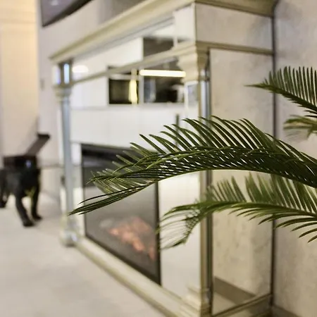 Appartement Cleo's Penthouse *